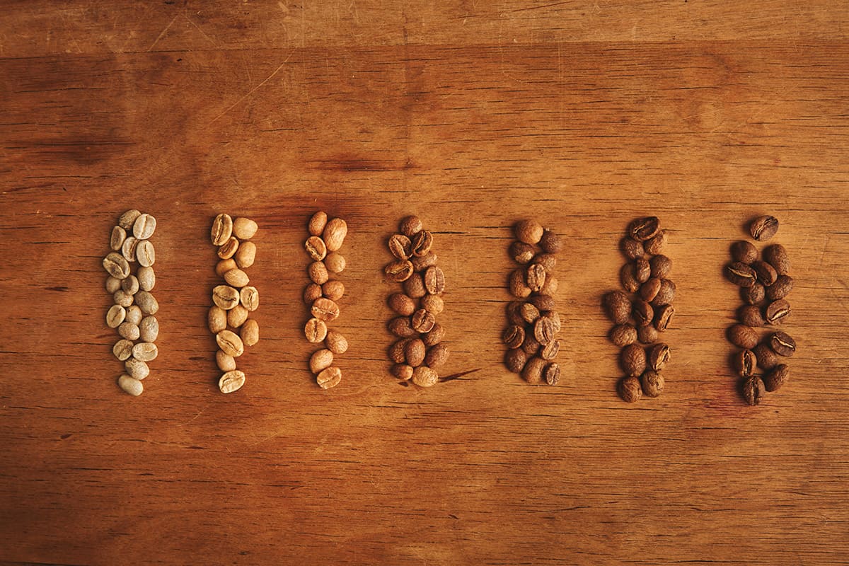tipos-de-torras-de-cafe